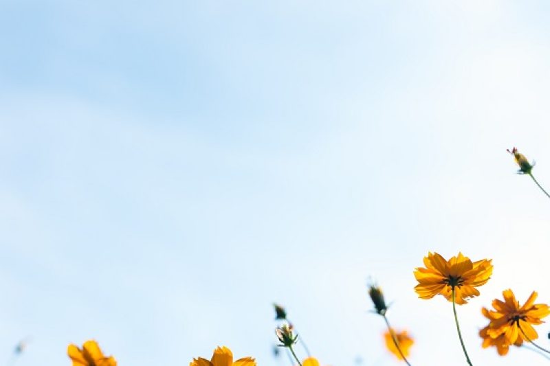 Vision Health in May